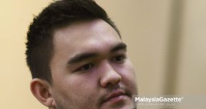 Raja Muda Selangor, Tengku Amir Shah Sultan Sharafuddin Idris Shah