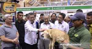 Perdana Menteri, Tun Dr. Mahathir Mohamad diiringi Menteri Pertanian dan Industri Asas Tani, Datuk Salahuddin Ayub melihat anak kambing dari Farm In The City Seri Kembangan sambil diberi penerangan oleh Ali Zahran (kanan) ketika melawat tapak pameran pada Majlis Perasmian MAHA 2018 di Dewan D, MAEPS Sedang, Selangor. foto NOOR ASREKUZAIREY SALIM, 22 NOVEMBER 2018