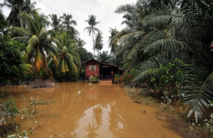 Hujan lebat yang berterusan sejak awal pagi tadi mengakibatkan beberapa kawasan di Kapar dan Meru di sini, mengalami banjir kilat.