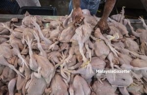 127 kes kesalahan Skim Harga Maksimum
