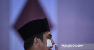 Syed Saddiq