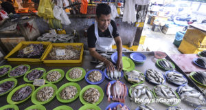 Seafood price increase fishery fish Lembaga Kemajuan Ikan Malaysia (LKIM) memberi jaminan harga makanan laut terutama ikan tidak akan mengalami peningkatan walaupun keadaan cuaca tidak menentu pada masa kini.
