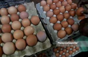 Peniaga menyusun telur untuk dijual kepada orang ramai ketika tinjauan lensa Malaysia Gazette di Pasar Chow Kit, Kuala Lumpur. foto FAREEZ FADZIL, 06 JANUARI 2019