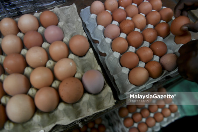 Peniaga menyusun telur untuk dijual kepada orang ramai ketika tinjauan lensa Malaysia Gazette di Pasar Chow Kit, Kuala Lumpur. foto FAREEZ FADZIL, 06 JANUARI 2019