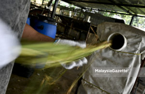 Maqis tangguh kutipan fi permit empat komoditi makanan ternakan