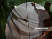 Pas Perak belum terima titah menghadap Sultan Nazrin