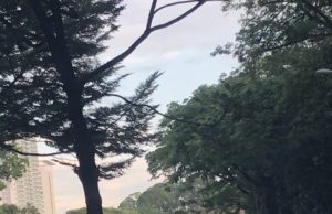 Lori langgar pembahagi jalan punca Jalan Istana sesak