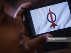 Hantaran kaitkan dengan institusi diraja, DAP N. Sembilan lapor polis