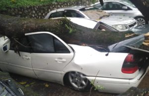 Hujan lebat, ribut landa KL