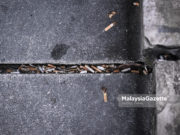 Arak haram, khinzir pun haram, rokok bagaimana pula?