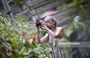 Rakyat asing boleh dapatkan lanjutan pas lawatan sosial