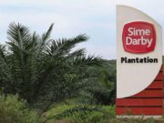 Sime Darby kaji tindakan CBP