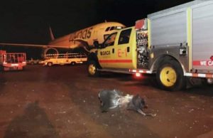 Lapangan terbang Arab Saudi sasaran Houthi