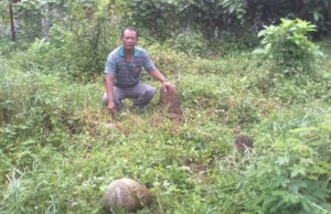 Dua makam berusia lebih 180 tahun dipindahkan