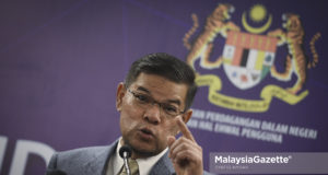 Datuk Seri Saifuddin Nasution Ismail
