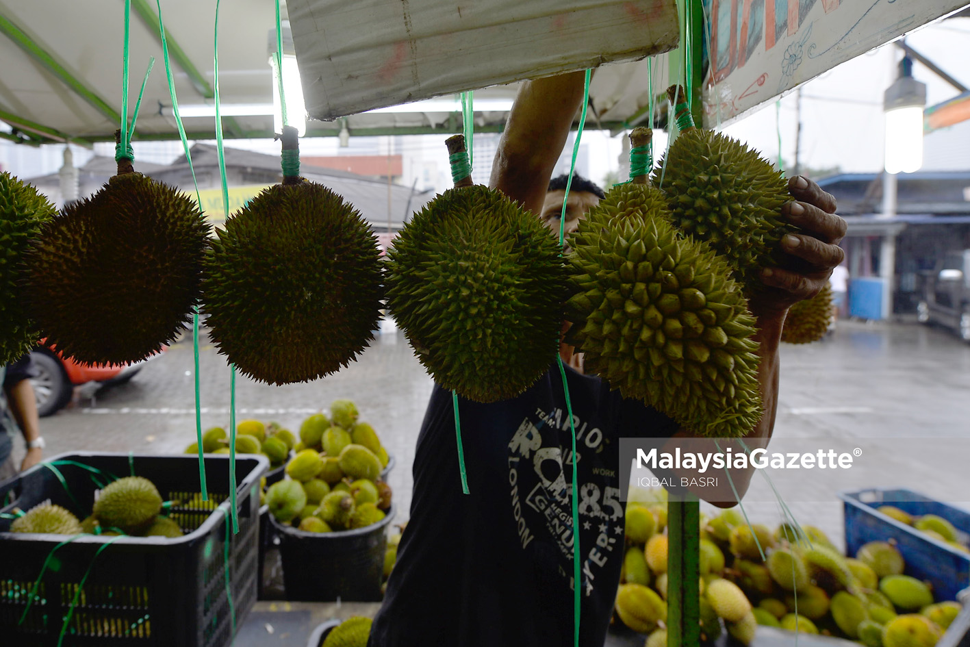 MGF14072019_Photo Essay Durian_02