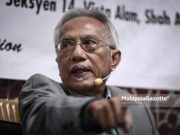 Kadir Jasin minta kurangkan berpolitik, lebihkan kerja