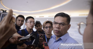 Datuk Seri Saifuddin Nasution Ismail