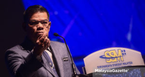 Datuk Seri Saifuddin Nasution Ismail
