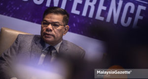 Datuk Seri Saifuddin Nasution Ismail