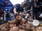 Pahang kekurangan bekalan buah kelapa sejak Ogos lalu
