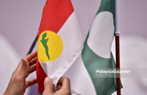PAS UMNO : Himpunan Penyatuan Ummah