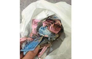 Berjuta rupiah dimakan anai-anai