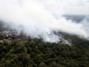 10 kebakaran hutan di Balik Pulau sepanjang Februari