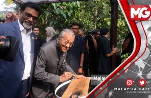 TERKINI : Tun M Pilih “Pokok Merbau” sebagai “Pokok Kebangsaan”