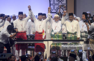 Piagam Pas-UMNO untuk jaga kepentingan Melayu