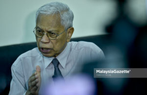 Ada pihak mahu kerakyatan tapi tolak hak istimewa Melayu