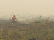 Pantau kawasan mudah terbakar, elak penceroboh