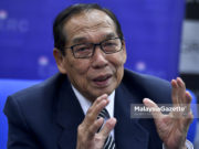 Beri kuasa SPR tangguh pilihan raya jika ada krisis – ERC