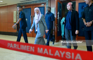 Permohonan Salleh bukti PKR ada daya penarik – Wan Azizah