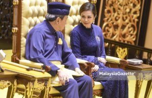 Tengku Permaisuri Selangor kesal cara PBT kasari anjing liar