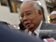 Perjanjian China-AS undang risiko besar kepada sawit negara