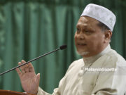 Pembalakan di Kelantan ikut undang-undang, kuota yang dibenarkan – Mohd Amar