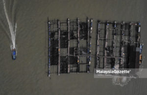 LENSA MG | Uniknya Kampung Nelayan Atas Air Masin Kukup