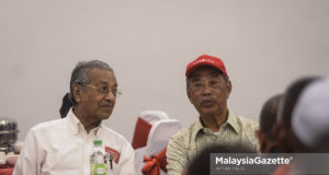 Mahathir muhyiddin