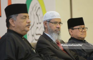 Rais perlu hati-hati buat tuduhan ke atas Zakir Naik