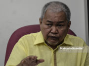Ibrahim dakwa Putra ubat baharu mampu lawan ‘virus’ DAP
