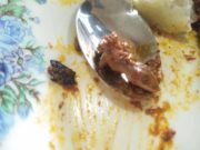 Lagi kes termakan ‘hidangan’ cicak