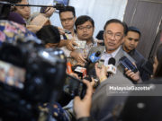 Perbincangan dari hati ke hati, Anwar ulas pertemuan dengan Dr Mahathir