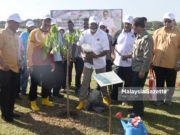 Kerajaan sasar tanam 100 juta pokok hutan