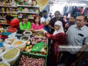 Wan Azizah serah Jawatankuasa Disiplin PKR tentukan nasib Zuraida