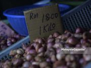 Harga bawang gambar cabaran ekonomi