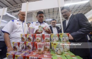 Perpecahan dalaman PKR tidak gugat kedudukan Anwar sebagai bakal PM – Saifuddin