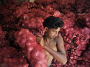 Larangan eksport akibat banjir India punca bawang naik harga