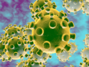 Dakwaan 2019 Novel Koronavirus terhasil dari makmal tidak benar