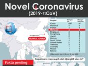 Cara jangkitan novel koronavirus belum jelas – Dr Noor Hisham